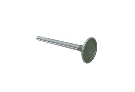 [555551] Valve, Intake image 0