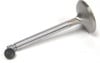 Valve Lash Cap (for Stainless Steel Valves) image 0