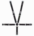 5-Pt Harness 2in Cam Lock Blk Pull Up image 0