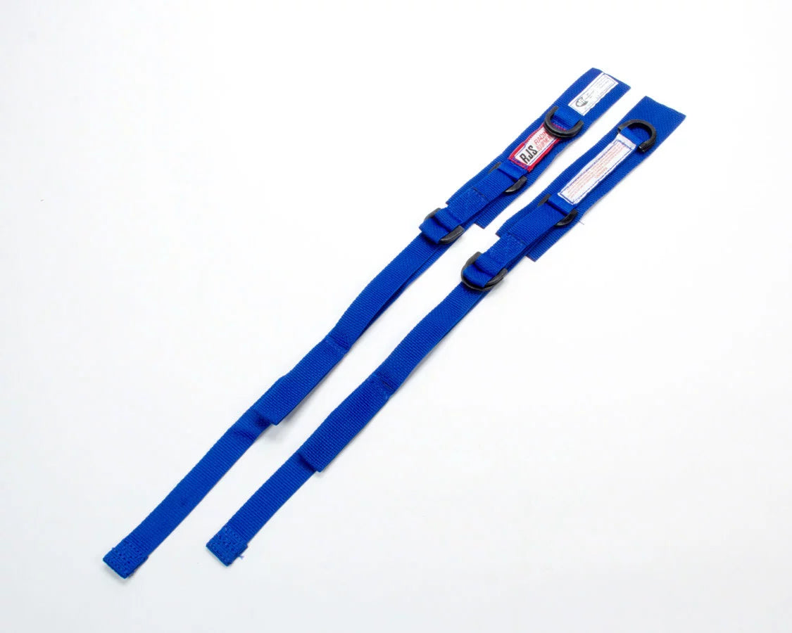Blue Arm Restraints image 0
