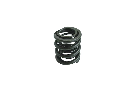 [557024] Valve Spring image 0