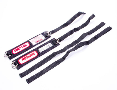 Child Arm Restraints image 0