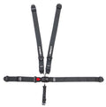 5-Pt Harness System LL Pull Down NASCAR image 0