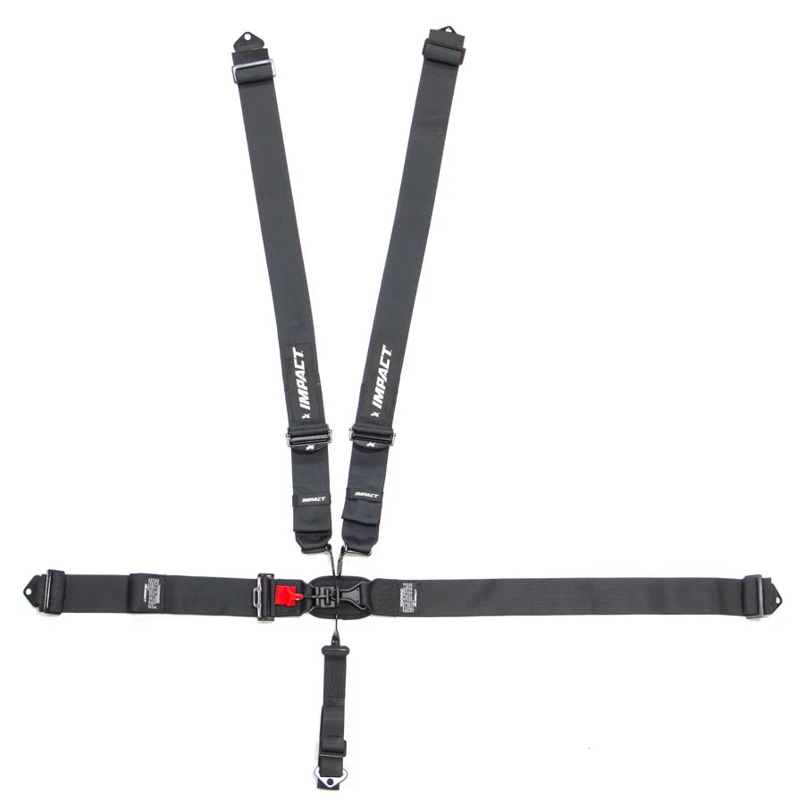 5-Pt Harness System LL Pull Down NASCAR image 0