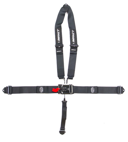 5-PT Harness System Int L&L Pull Down V-Type image 0