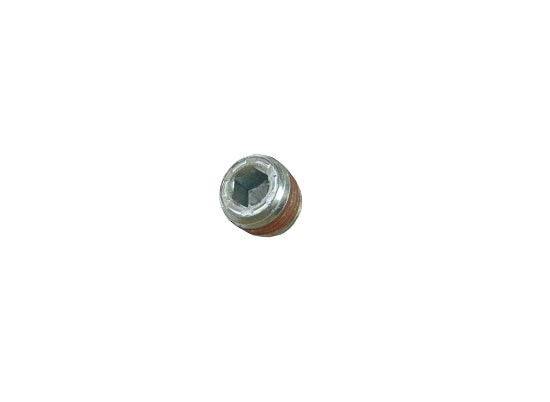 [555578] Oil Drain Plug image 0