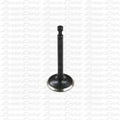 [224-1125] 224cc Exhaust Valve image 0