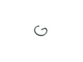 [555521] Piston Pin Lock (superseded by 691866) image 0