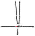 5pt 2in Harness L/L P/D Ind Shld Fixed Right Lap image 0