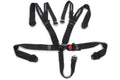 5-pt Harness System L&L w/HANS Double Shoulder image 0