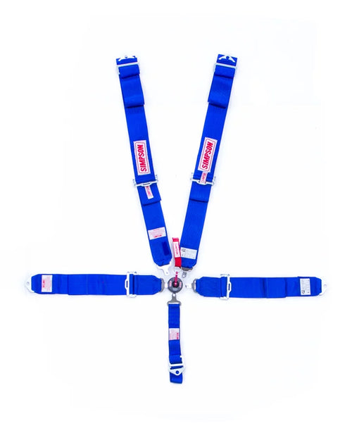 5-PT Harness System CL P/D B/I Ind 55in image 0