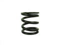 [DAS2] Dyno Animal Valve Spring (Heavy Duty) use with AN002W cam image 0