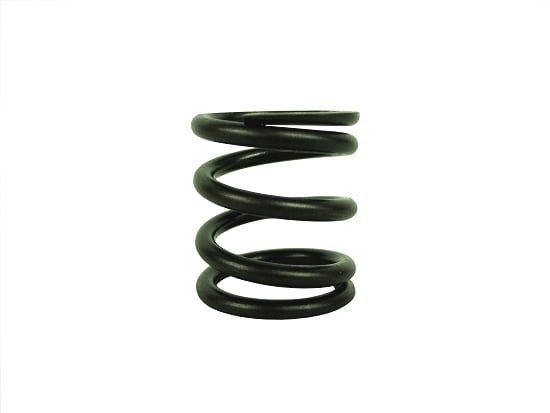 [DAS2] Dyno Animal Valve Spring (Heavy Duty) use with AN002W cam image 0