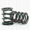 Dyno Green Stripe 36# Dual Springs (Pair) image 0
