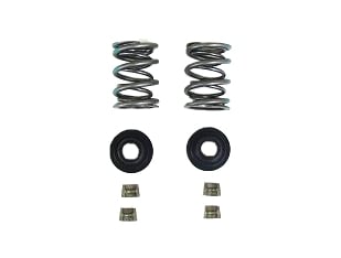 (DCS-CL2) Dyno Hi-Performance 36# Dual Valve Spring Kit for Modified Honda / Clone image 0