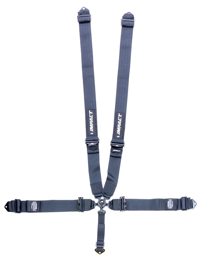 5-PT Harness System Camlock Ind Pull Down image 0