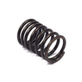 [555060] Valve Spring, Intake (Superceded by 690520) image 0