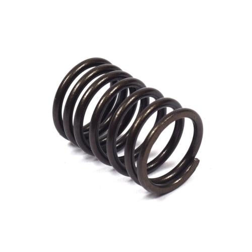 [555060] Valve Spring, Intake (Superceded by 690520) image 0