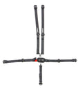 5-pt Jr Harness L/L Ind Shoulder P/U W/A QM belt image 0