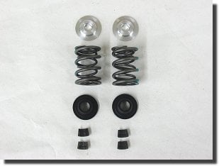 [93201] Dyno Raptor Dual Valve Spring Kit W/Retainers image 0