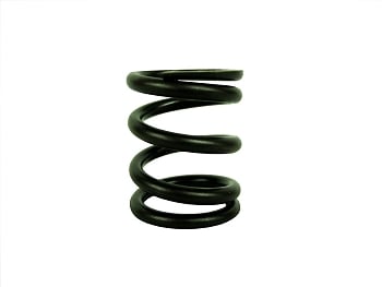 (DCS-BP) Dyno A.K.R.A. BUILDER PREPARED Clone Valve Spring (22 lbs) image 0