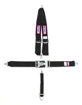 5-PT Harness System BK Shoulder MT 2in Sub image 0