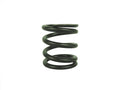 [555553] Valve Spring (superseded by 26826) image 0