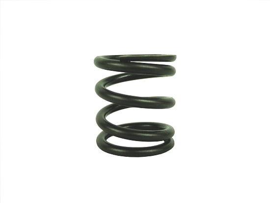 [555553] Valve Spring (superseded by 26826) image 0