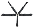5-PT Harness Camlock Ind Shldr 3in to 2in Trans image 0
