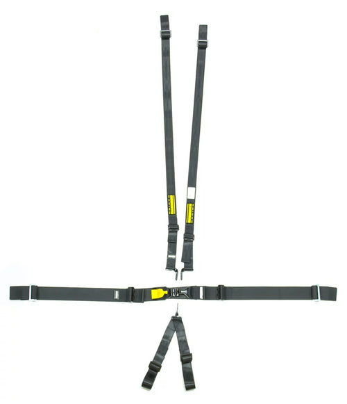 6pt Harness System SFI LatchLink Black HANS image 0