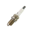 OEM-Intek Sparkplug 491055T image 0