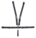 5pt Harness L/L P/U Ind Shldr Dual Lap Adj. image 0