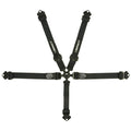 5-PT Harness 2in Camlock Integral Lap Adjuster image 0