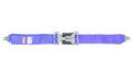 3in Lap Belt Blue image 0