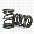 Dyno White Stripe 38# Dual Springs (Pair) image 0