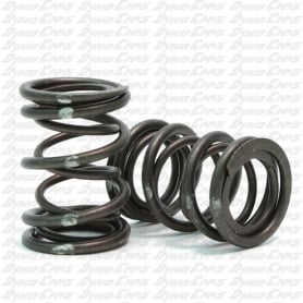 Dyno White Stripe 38# Dual Springs (Pair) image 0