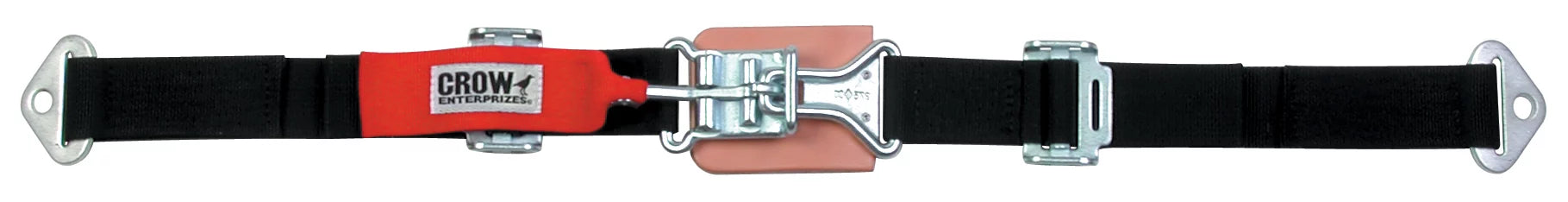 Seat Belt Latch And Link Bolt In Black image 0