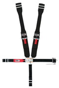 5-Way L&L  W/Ratchet on left side lap belt.  Rig image 0