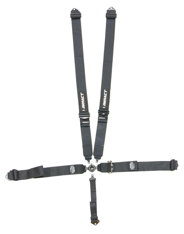 5-PT Harness System Camlock Ind Type Pull DN image 0
