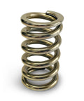 Calibrated Test Spring Medium 50-450lbs image 0