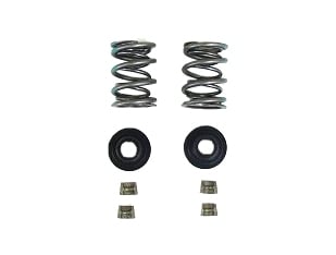 [ADSK] Dyno Animal Dual Valve Spring Kit with Retainers image 0