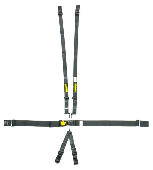 6pt Harness System SFI LatchLink Black HANS image 0