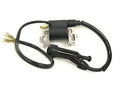 TPP-COIL196 Ignition Coil image 0