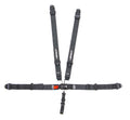 5-PT Harness System L&L Ind Shoulder Pull Up image 0
